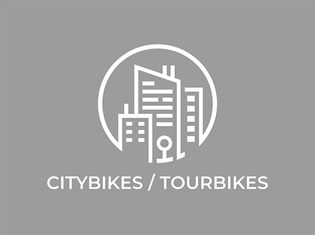 Flyer Gotour5 5.00 | Flyer Gotour5 5.00 | velomarkt.at