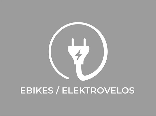 Flyer Gotour5 5.00 | Flyer Gotour5 5.00 | velomarkt.at